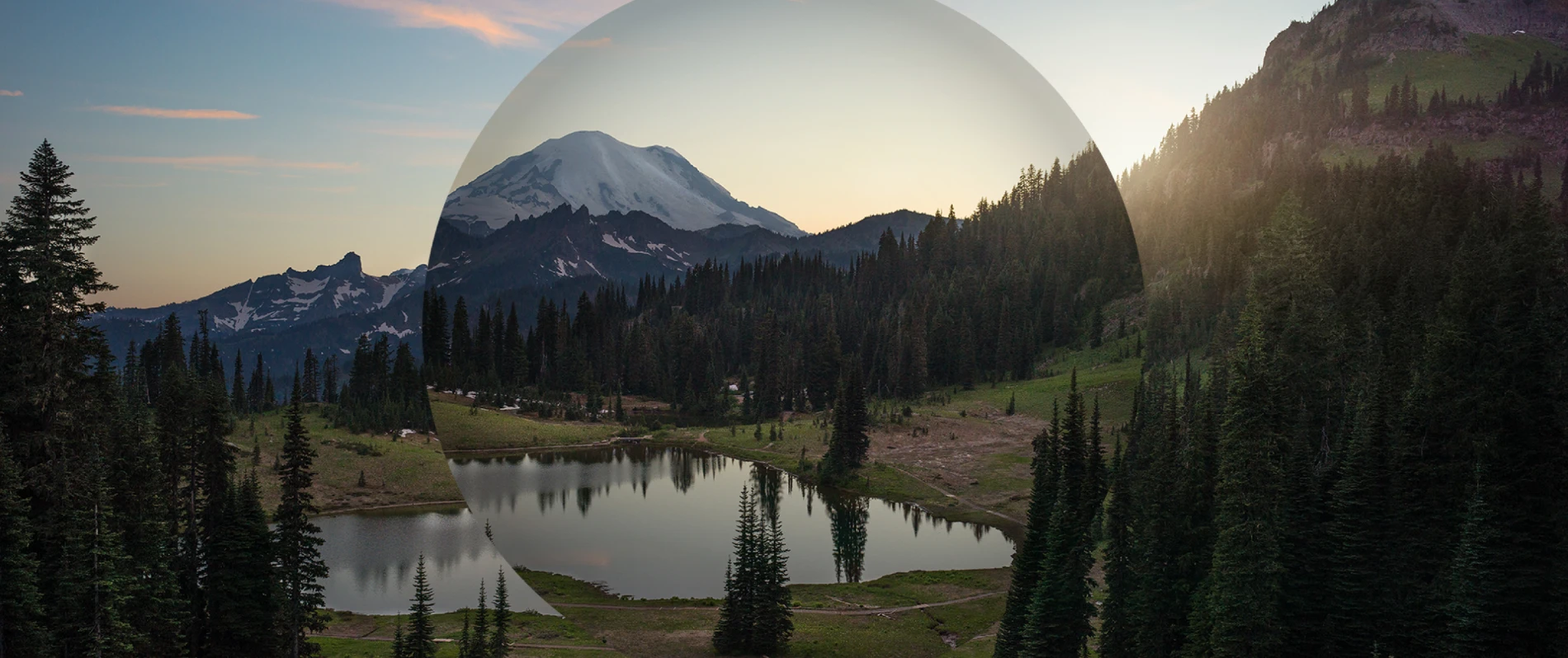 h+1 The Humanity Impact Fund